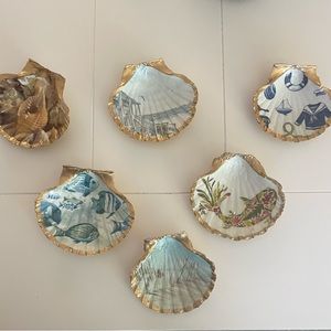 Beautiful decorative shells.